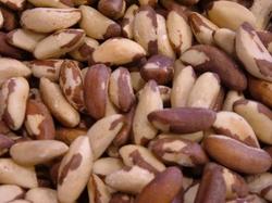 Paranoten kopen naturel ongebrand