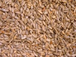 Gepelde zonnebloempitten gebrand gezouten